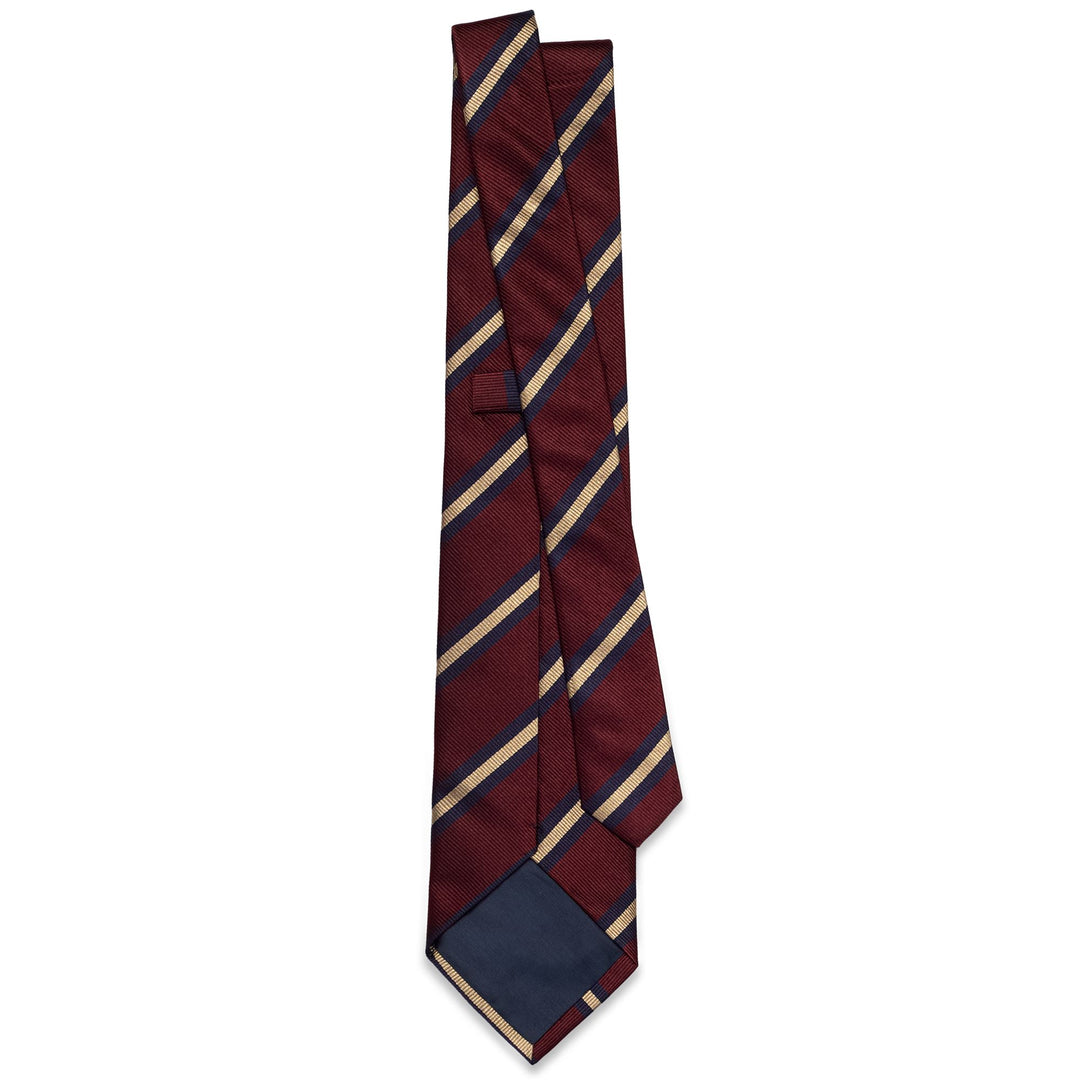 Small Accessories Man BURNHAM Tie REGIMENTAL WILTSHIRE REGIMENT Dressed Front (jpg Rgb)	